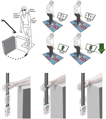 Inhibitory Control and Fall Prevention: Why Stopping Matters